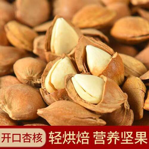 新货奶香味开口杏核新疆特产500g带壳小杏仁坚果小银杏仁手剥薄壳