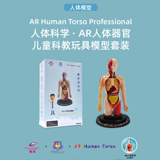 Интерактивная игрушка App 怡高科教可拆卸人体器官模型百科ar互动科教玩具人体科学人体模型