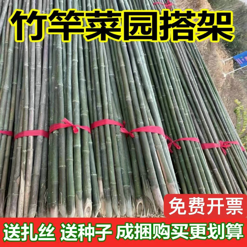 竹竿子菜园搭架豆角黄瓜丝瓜爬藤架篱笆彩旗菜架种菜小竹子细竹杆