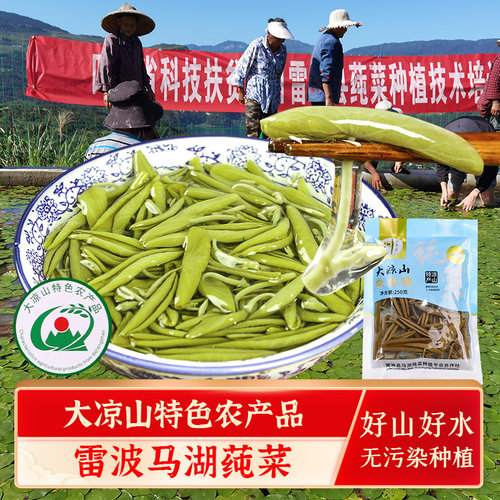 产地直发大凉山特产雷波马湖莼菜