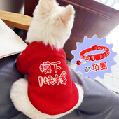 狗狗衣服带牵引项圈秋冬装 泰迪比熊博美小型幼犬猫咪法斗宠物卫衣
