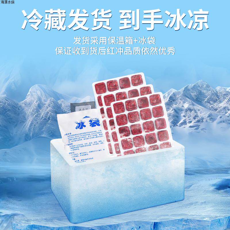 冰冻虾卵饲料神仙精品红虫七彩赤观赏鱼饲料