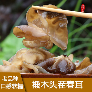 肉薄青杠细嫩椴木耳青川黑木耳云耳干货250g 头茬春耳 软糯老品种