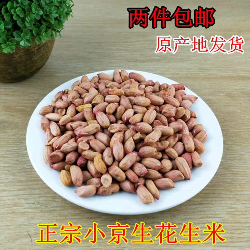 新昌小京生花生种子2025新货晒干生花生米嵊州小红毛花生农家自种
