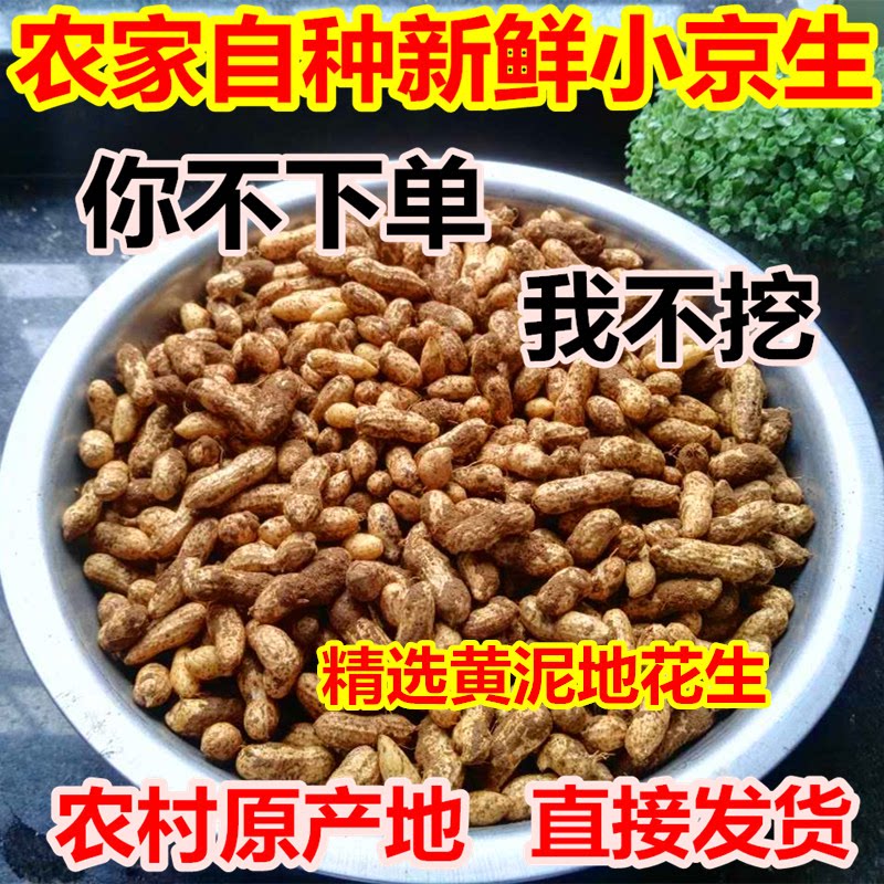 新昌特产小京生新鲜先挖3斤装