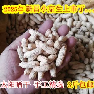 新昌特产小京生花生种子2025新货生花生嵊州小红毛长寿果晒干未炒