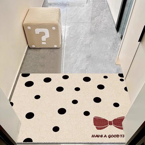 家用入户地垫大门少女感丝圈进门