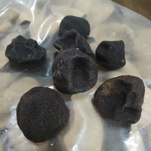 广东省江门柑宝原只生晒陈皮果大柑胎小青柑果梅子香自然陈500克