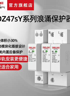 德力西电气浪涌保护器电源防雷器避雷2p家用4p电涌保护器320V385V