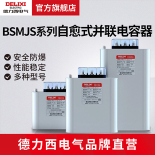 耐压450V无功补偿20 德力西电气自愈式 低压并联电容器BSMJS0.45
