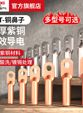 德力西电气DT铜鼻子接线端子紫铜酸洗镀银型号齐全10/16/120/300