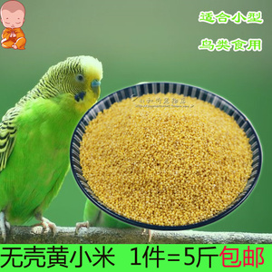 包邮5斤装无壳谷子黄小米文鸟虎皮鹦鹉鸟食鸟粮饲料蛋小米原料