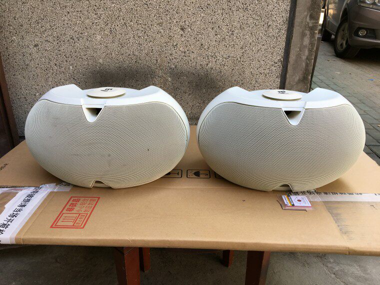 美国EV/艺威 EVID 6.2 EV6.2多功能KTV背景音乐音箱 迷你会议音箱