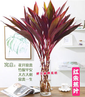 上海直发鲜花速递 富贵竹 红朱蕉叶百合竹水培家养鲜花办公室插花