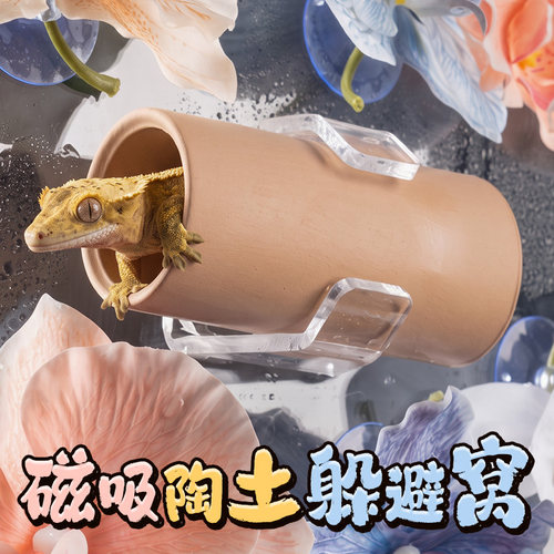 ans洛洛陶土躲避屋蜕皮神器