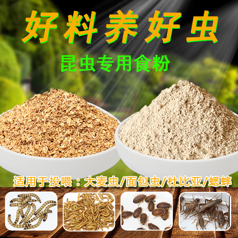 面包虫蟋蟀活体昆虫饲料粮麦麸