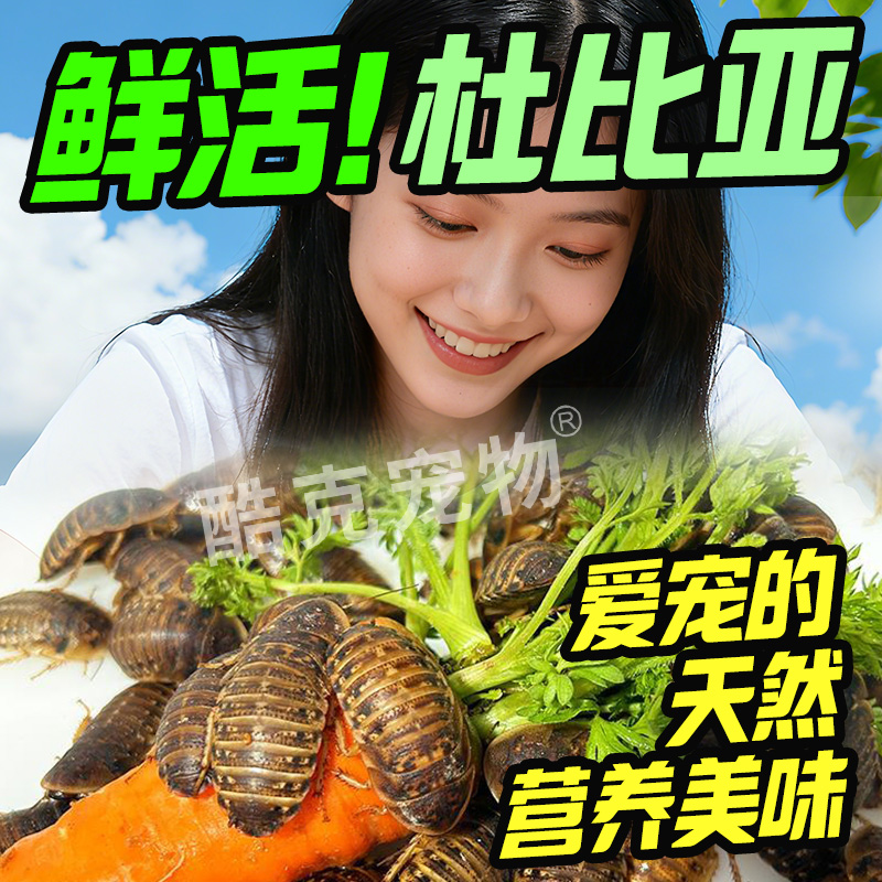 高蛋白高营养优质活体饲料