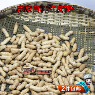 贵州高原农家红皮花生 带壳花生米粒 原生态生花生农家自产500g