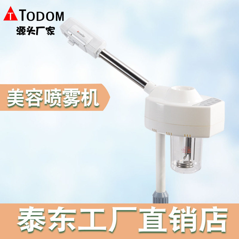 泰东热喷美容喷雾机单管离子雾气蒸脸器蒸汽补水仪厂家直销DT-318
