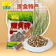 可可西里爆青稞青海西藏炒青稞128g 3特产小吃零食青海特产