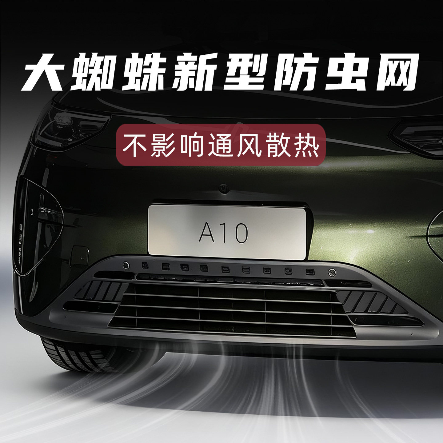 大蜘蛛零跑A10新型防虫网图片