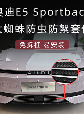 上汽奥迪e5sportback前脸防虫网e5中网外观改装件装饰条用品配件