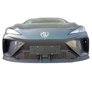 名爵mg4木兰前脸中网外观改装件mg4ev汽车用品装饰亮条防虫网配件