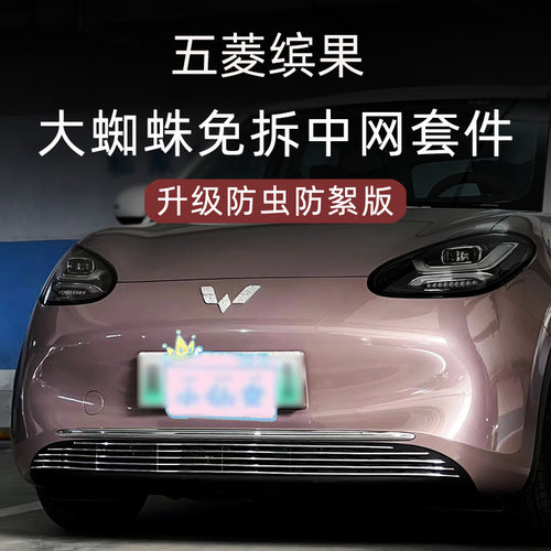 五菱缤果防虫防絮版金属中网