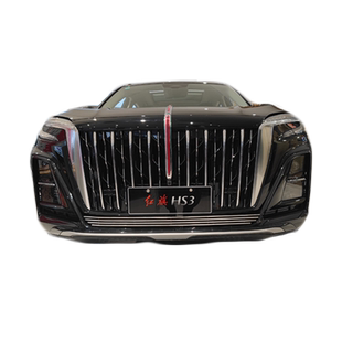 23-25新款红旗HS3前脸中网防虫网外观改装件专用汽车用品配件大全