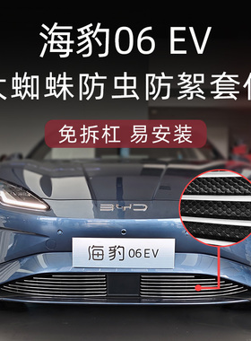 适用于 于比亚迪海豹06EV防虫网前脸中网外观改装配件装饰条汽车