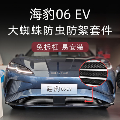 比亚迪海豹06EV大蜘蛛金属防虫网