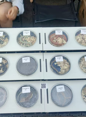 Pvc爬柜爬宠展示架爬展专用架9位 18位不包含盒子