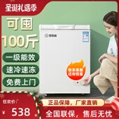 香雪海小冰柜家用小型冷冻小冰箱保鲜冷藏冰柜商用迷你节能大容量