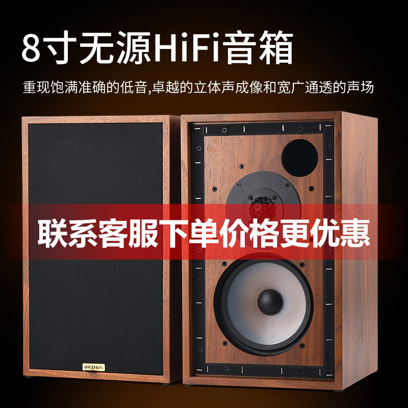 BRZHIFI发烧音响LS 5/9无源监听书架音箱英国BBC标准 8寸二分频