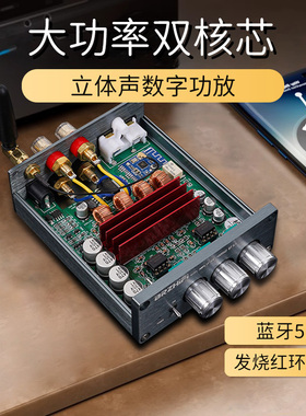 BL53A 大功率双核芯TPA3116数字功放机hifi家用重低音蓝牙5.3