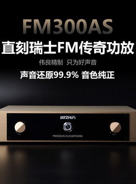 伟良大功率功放机FM300AS发烧hifi甲乙类后级音响直刻瑞士FM线路