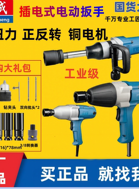 东成插电式冲击电动扳手P1B-FF-12/16/20/22汽修风炮套筒电板子