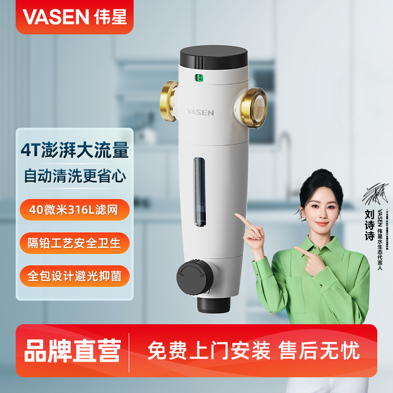 反冲洗大流量非直饮管道过滤器