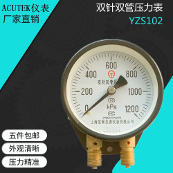 Đồng hồ đo đặc biệt đường sắt đôi kim đôi đồng hồ đo áp suất ống YZS102 1000kpa 1200kpa M16 * 1.5 ghế xoay giá rẻ mua ghế văn phòng