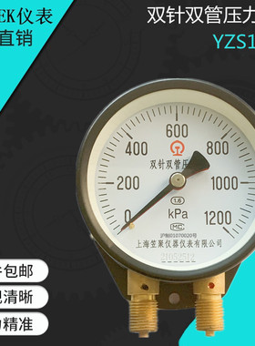 铁路专用表 双针双管压力表  YZS102  1000kpa  1200kpa  M16*1.5