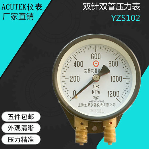 上海上海笠聚双针双管压力表