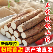 新鲜正宗铁棍山药小白嘴山药河北土特产粉糯香甜淮山药带箱5斤