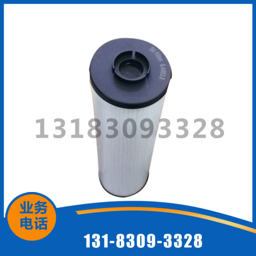 6.4693.0/B1凯撒油过滤器滤芯