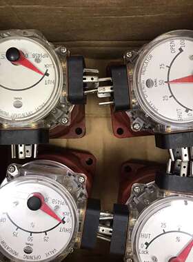 OVAL NPIB30 581CC，全新原装到到货。有意