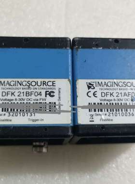 IMAGNGSOURCE映美精 DFK 21BF04 彩色