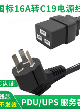 国标插头带线集成灶电暖炉机房UPS服务器10A16A转C19横插电源线