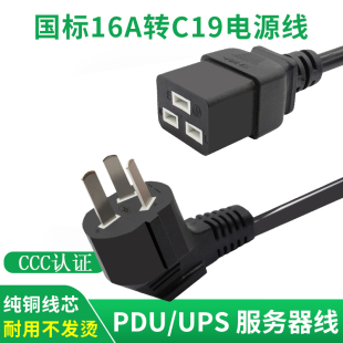 国标插头带线集成灶电暖炉机房UPS服务器10A16A转C19横插电源线