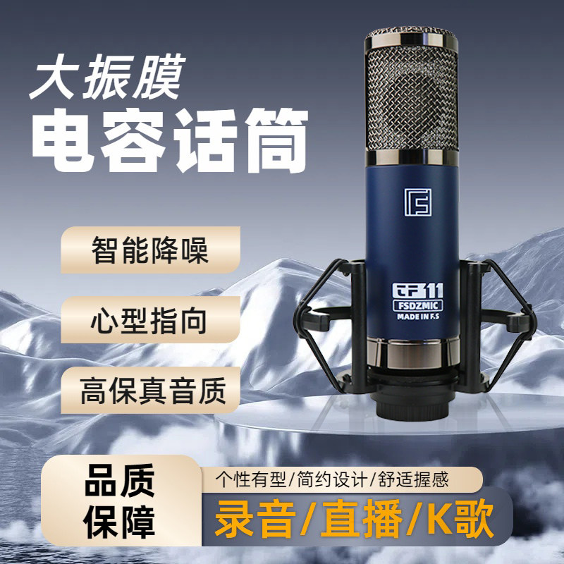 专业直播录音棚录音电容麦克风图片