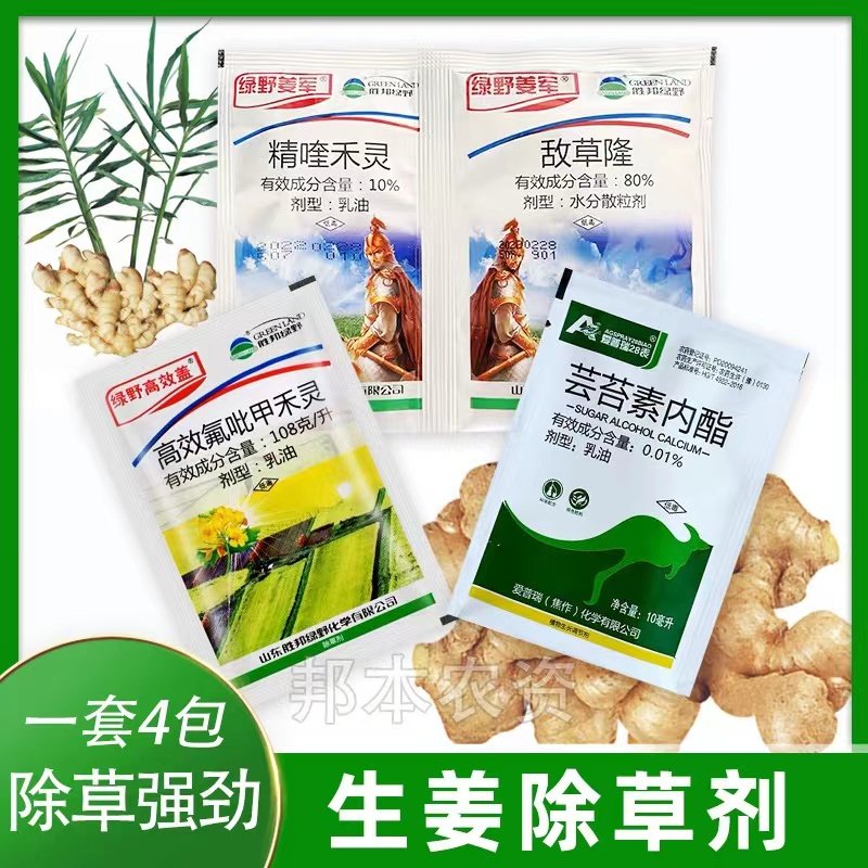 生姜苗后专用除草剂 绿野姜军 精喹禾灵敌草隆姜田姜地大姜除草剂