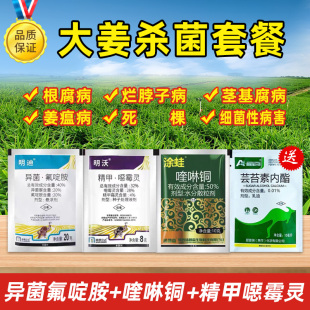 大姜专用药精甲恶霉灵异菌氟啶胺喹啉铜姜瘟病专用药生姜杀菌剂